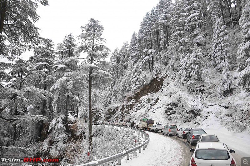 Ahmedabad to Shimla-13-decsnowfall01.jpg