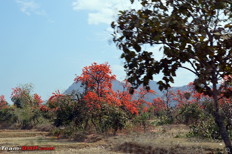 Kolkata - Siliguri route via Dumka, Bhagalpur or NH-12 (old NH-34)-dsc_0387.jpg