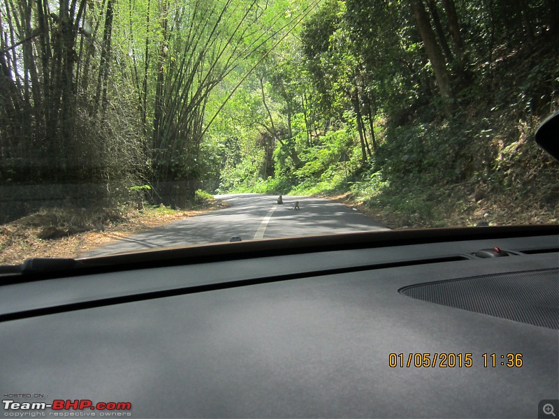 All Roads to Kerala-img_0238.jpg