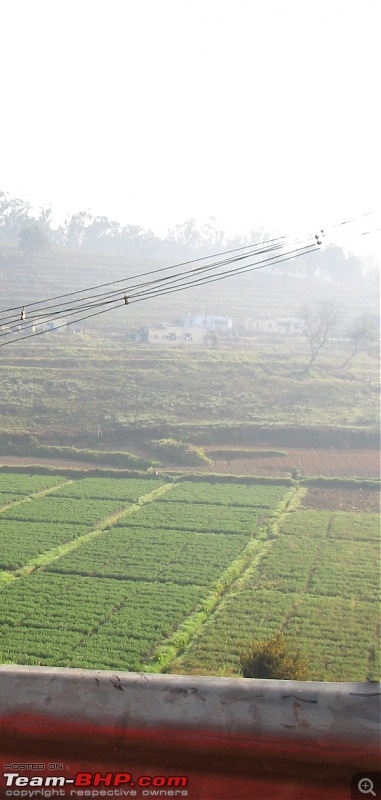Bangalore - Mysore - Ooty : Route Queries-carrot-fields-entering-ooty-copy.jpg