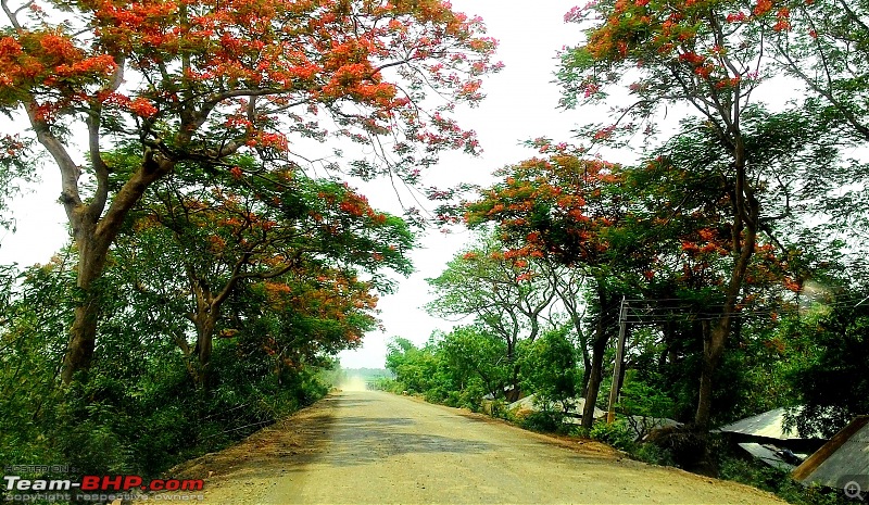 Kolkata - Siliguri route via Dumka, Bhagalpur or NH-12 (old NH-34)-p_20160611_115448_1.jpg