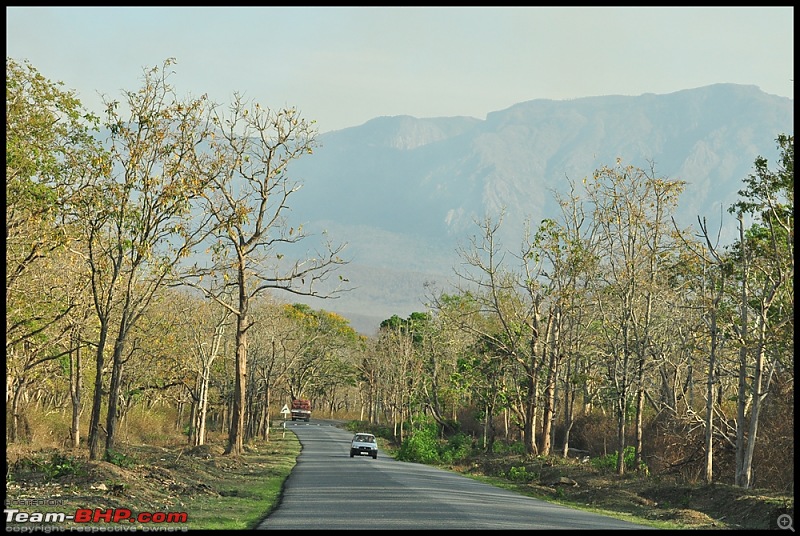 The Best Roads In India-mudumalai.jpg