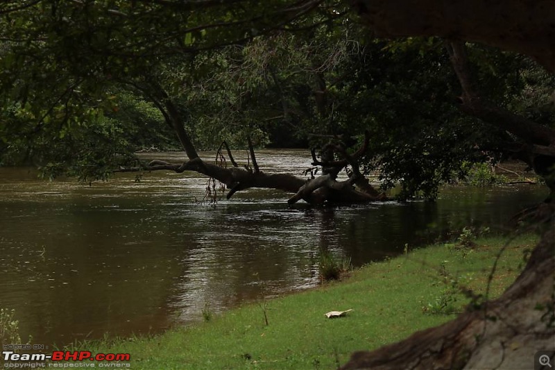 Bangalore - Yercaud Queries. EDIT: Avoid the Danishpet route!-1502855612699.jpg