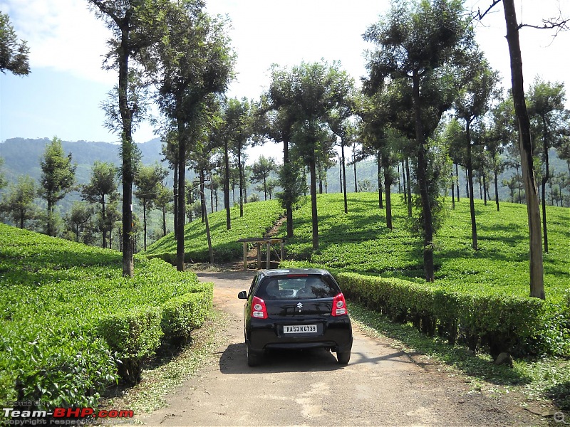 Valparai - Stay and other info-image.jpg