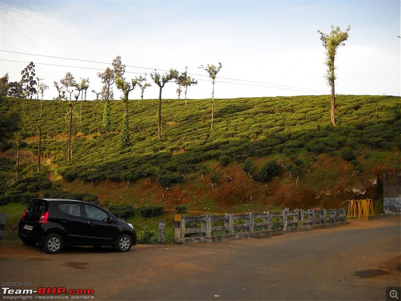 Valparai - Stay and other info-image-3.jpg