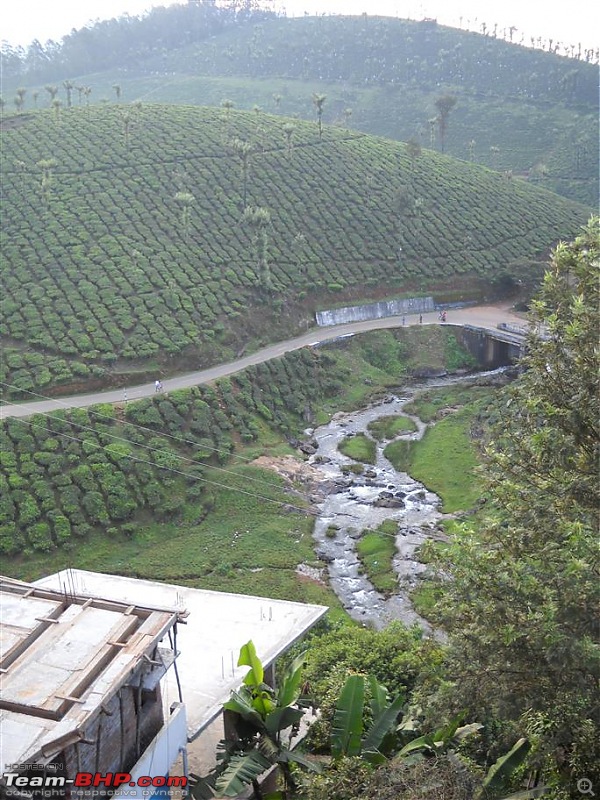 Valparai - Stay and other info-image-4.jpg