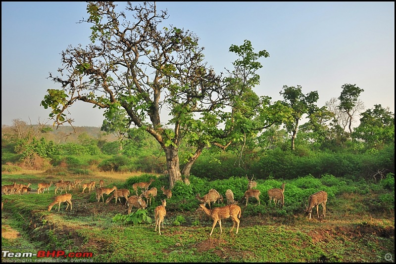 Bangalore - Mysore - Ooty : Route Queries-dsc_091201.jpeg