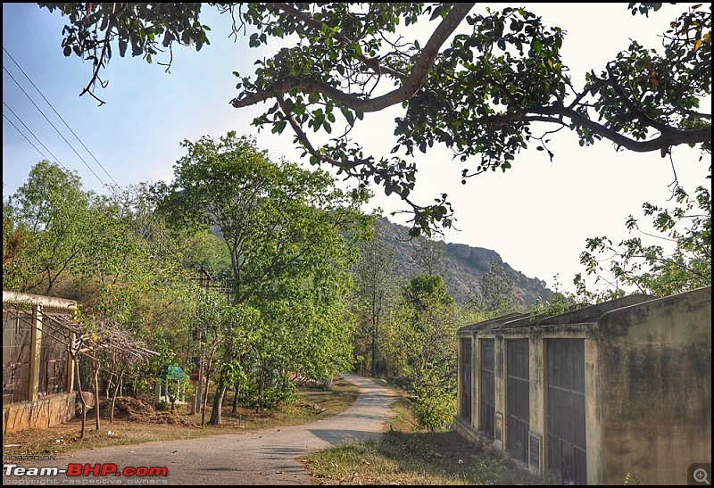 Cool Drives within 150 km from Bangalore-dsc_030401.jpeg