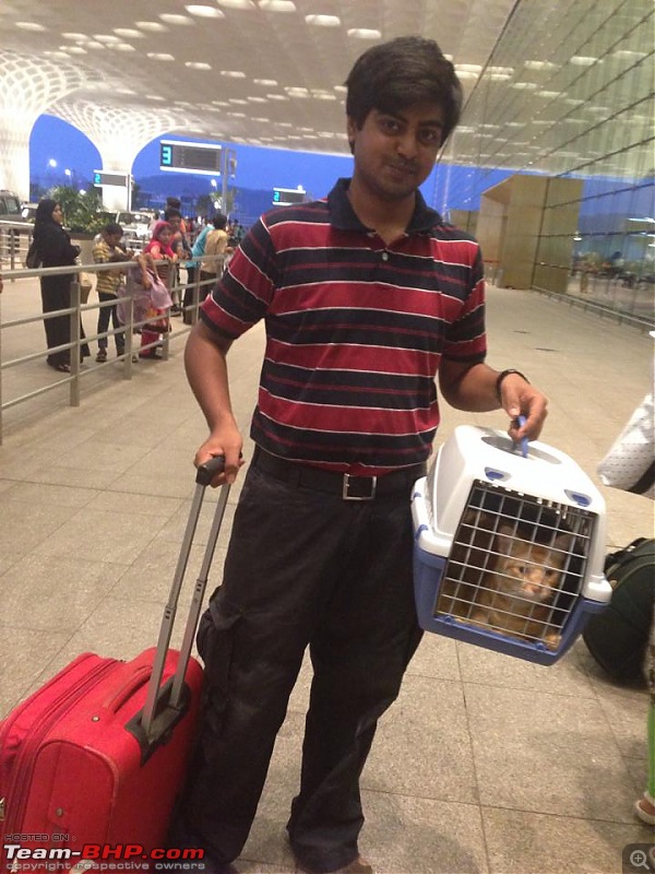 Transporting Pets within India or internationally-billa.jpg