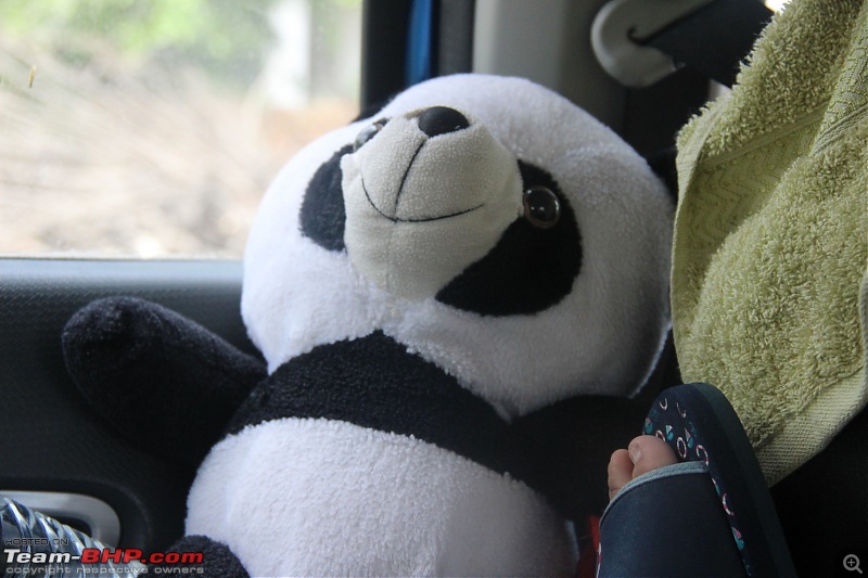 Muzaffarpur to Delhi via Gorakhpur-Faizabad-Lucknow-Kanpur-Agra-Palwal (NH2 & 71B)-panda-enjoying.jpg