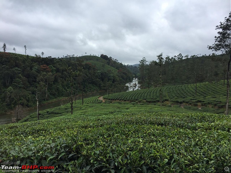 Valparai - Stay and other info-stream_1.jpeg