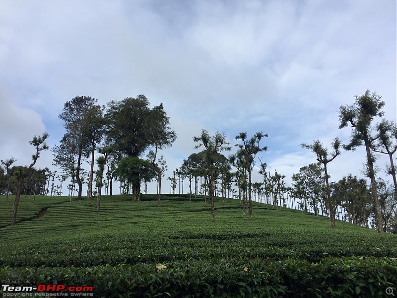 Valparai - Stay and other info-nature_walk_2.jpeg