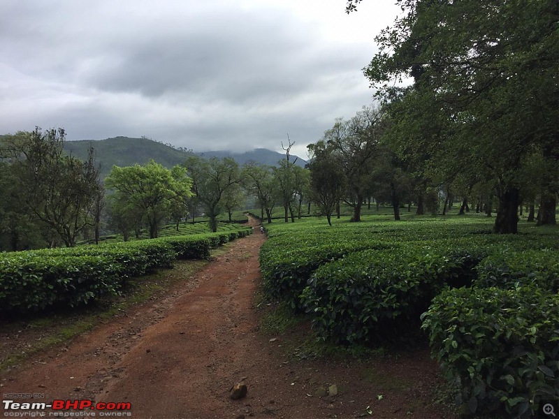 Valparai - Stay and other info-nature_walk_3.jpeg