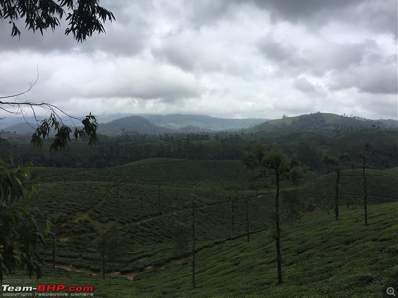 Valparai - Stay and other info-view_2.jpeg