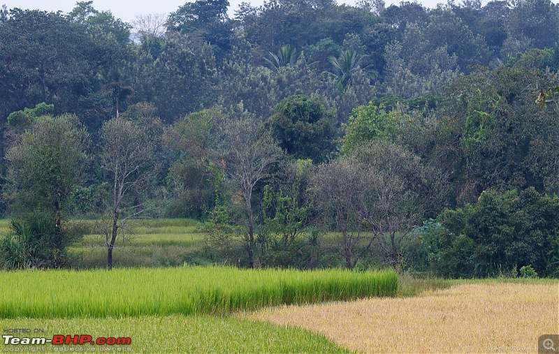 Cool Drives within 150 km from Bangalore-can_7dii_2017_11_01_1085_lr_lr.jpg