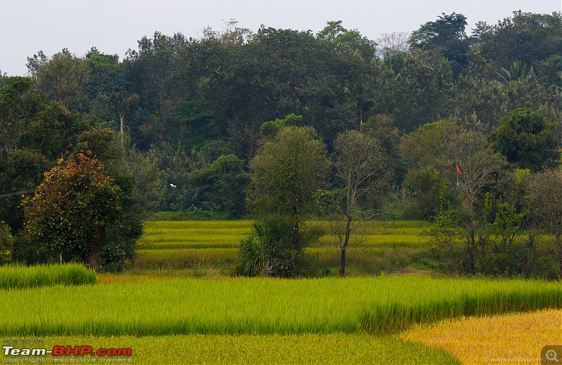 Cool Drives within 150 km from Bangalore-can_7dii_2017_11_01_1086_lr_lr.jpg