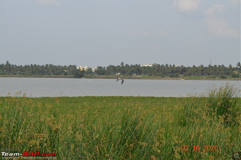 Cool Drives within 150 km from Bangalore-dsc_0734.jpg