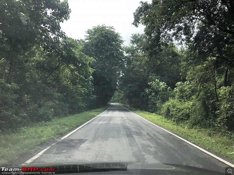 Bangalore - Kukke Subramanya : Route Queries-d6c907a72656429888cf5f33f36a85e3.jpeg