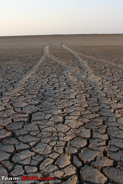 Is Diwali a good time to go to the Little Rann of Kutch-endless.jpg