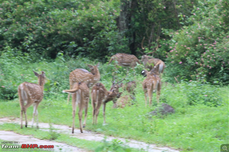 All Roads to Kerala-img_7218.jpg