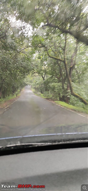 Mumbai - Pune - Kolhapur - Goa : Route Queries-chorla-trees.jpg