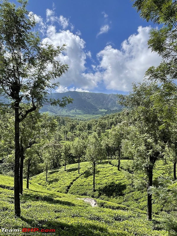 Valparai - Stay and other info-a7620d8d948740258c6ea95ece772287.jpeg