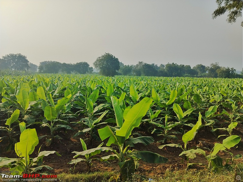 North to South India in a Renault Kwid: Route Query and Trip Summary-2-mp-mh-border.jpg