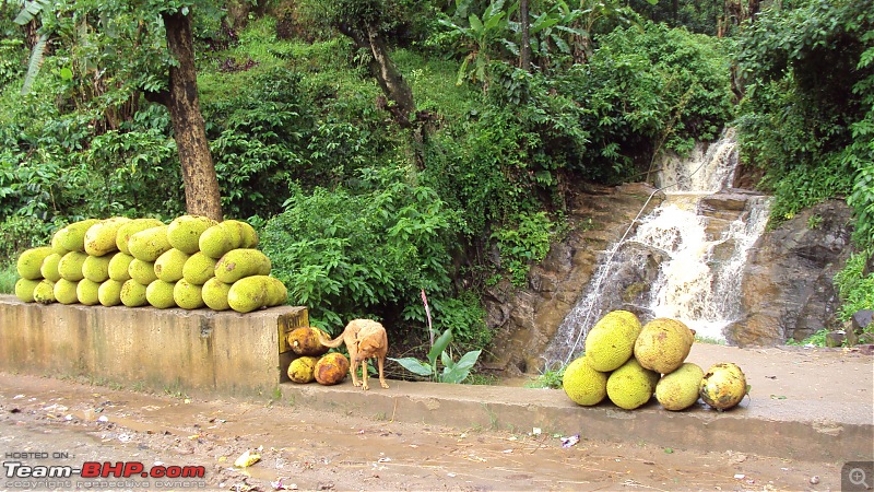 The art of travelling between Bangalore - Mangalore/Udupi-dsc00010.jpg