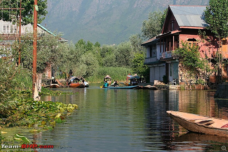 Srinagar - Leh - Pangong - Nubra - Tsomoriri - Keylong - Spiti - shimila with Family-dallakebirds10.jpg