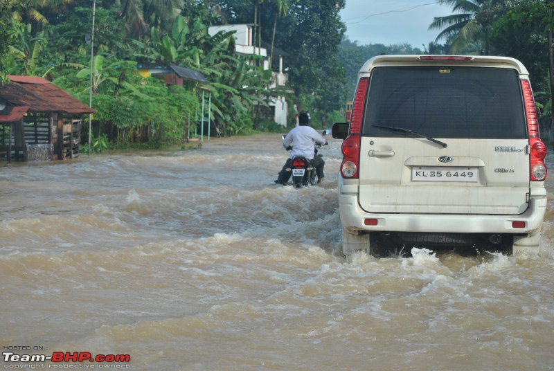 All Roads to Kerala-dsc_4475.jpg