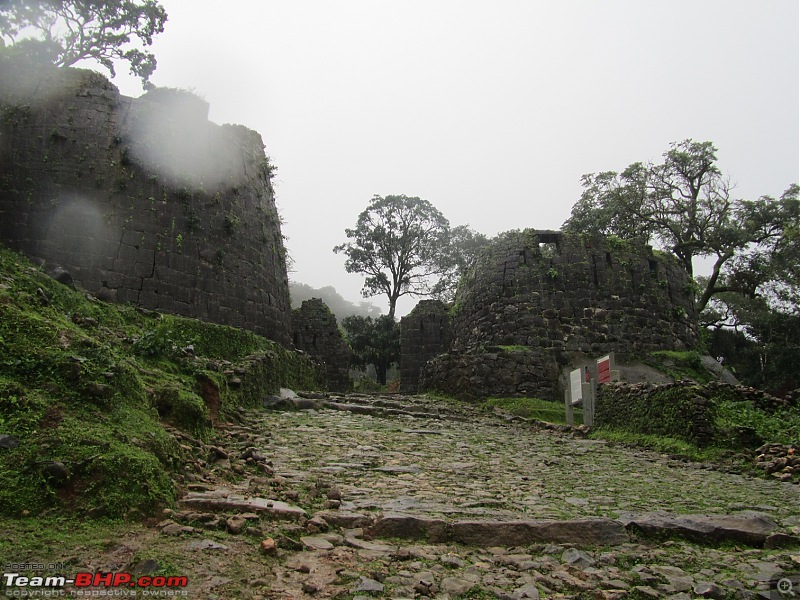 Monsoon is here, why not drive to Malnad?-c.img_0652.jpg