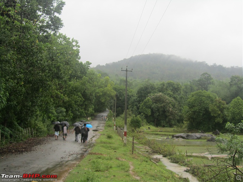 Monsoon is here, why not drive to Malnad?-k.img_0778.jpg
