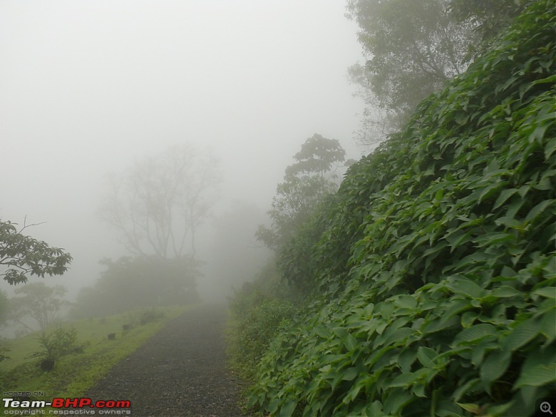 Belgaum - Goa  " The Chorla Route "-l1020083.jpg