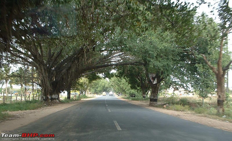 Bangalore to Coimbatore : Route Queries-004nh209sathybannari.jpg