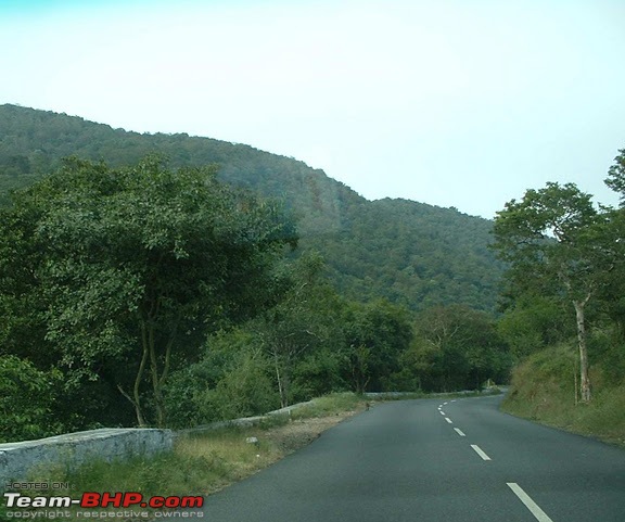 Bangalore to Coimbatore : Route Queries-nh209dhimbamchamarajnagar.jpg