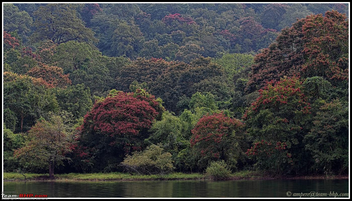 Autumn foliage in India - Team-BHP