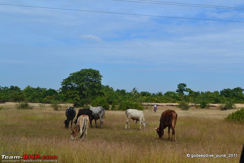 Goa Route Queries-04dsc_0899.jpg