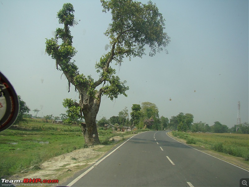 Kolkata - Siliguri route via Dumka, Bhagalpur or NH-12 (old NH-34)-dsc09050.jpg