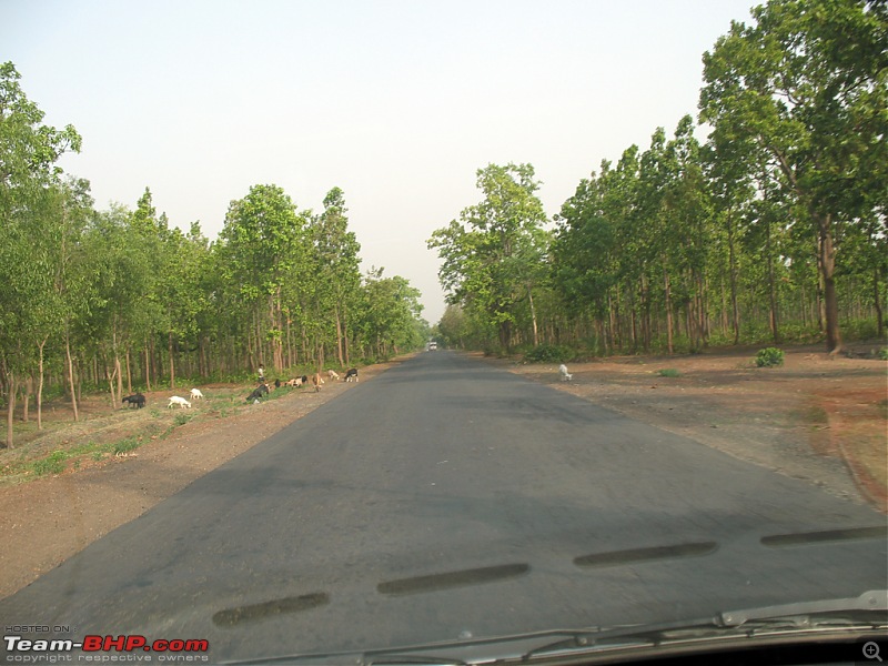 Kolkata - Siliguri route via Dumka, Bhagalpur or NH-12 (old NH-34)-014.jpg