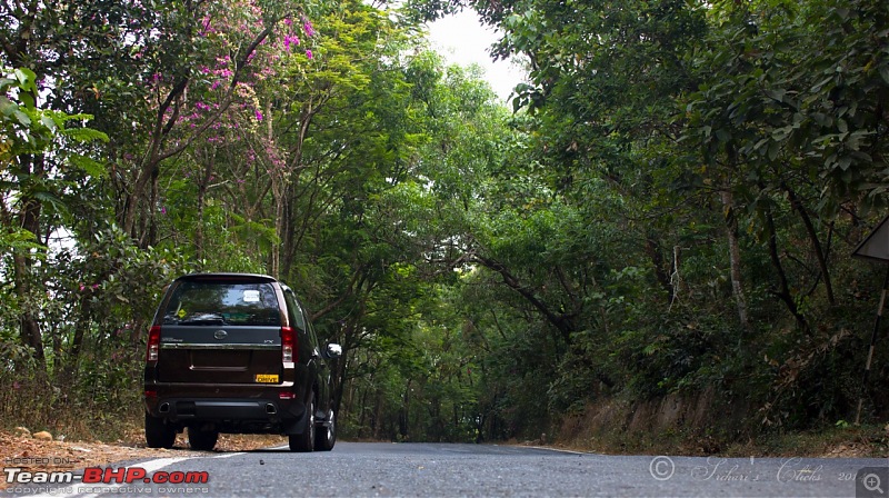 All Tata Safari Owners - Your SUV Pics here-1.jpg