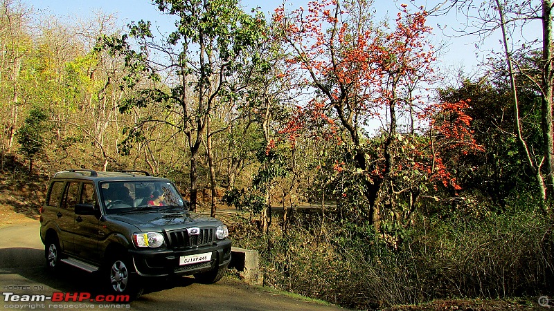 All T-BHP Scorpio Owners with Pics of their SUV-023.jpg