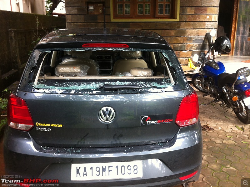 Protecting the car from overhead coconut trees-img_0806.jpg