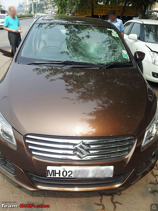 Protecting the car from overhead coconut trees-image.jpeg