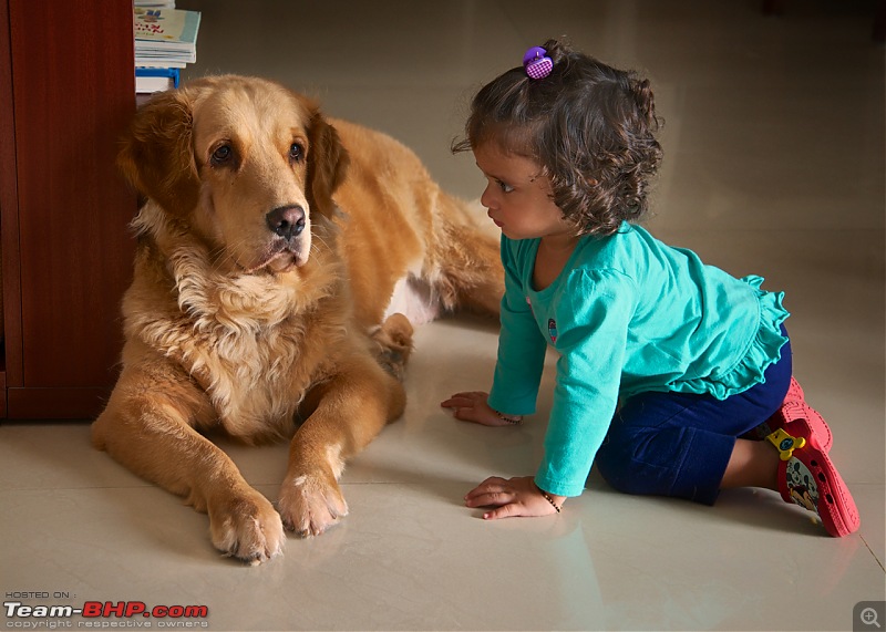 Team-BHPians and their Pets-_dsc3284.jpg