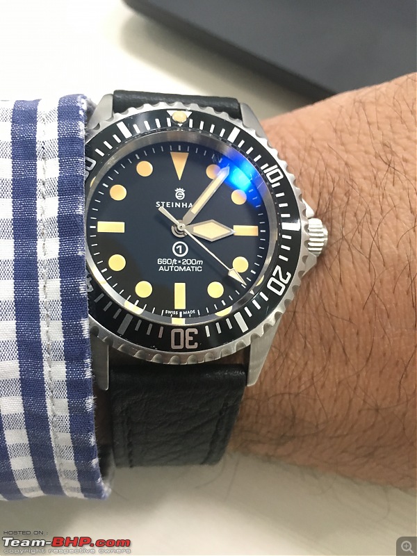 Which watch do you own?-steinhart.jpg