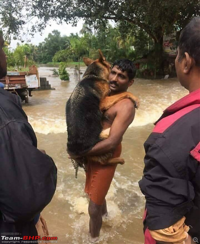 August 2018 Kerala floods! Help Kerala-screenshot_201808191800082.png