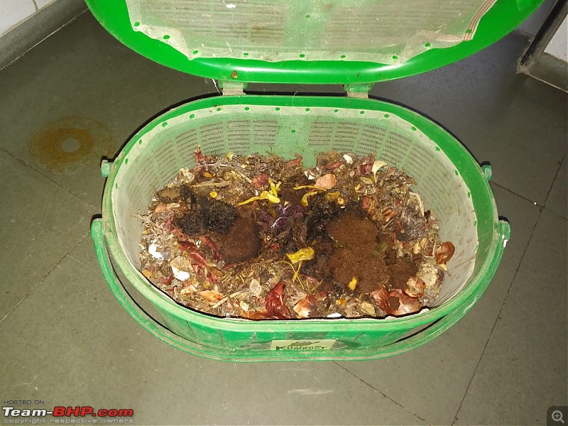 Doing my bit: Vermicomposting at Home-whatsapp-image-20180820-17.26.40.jpeg