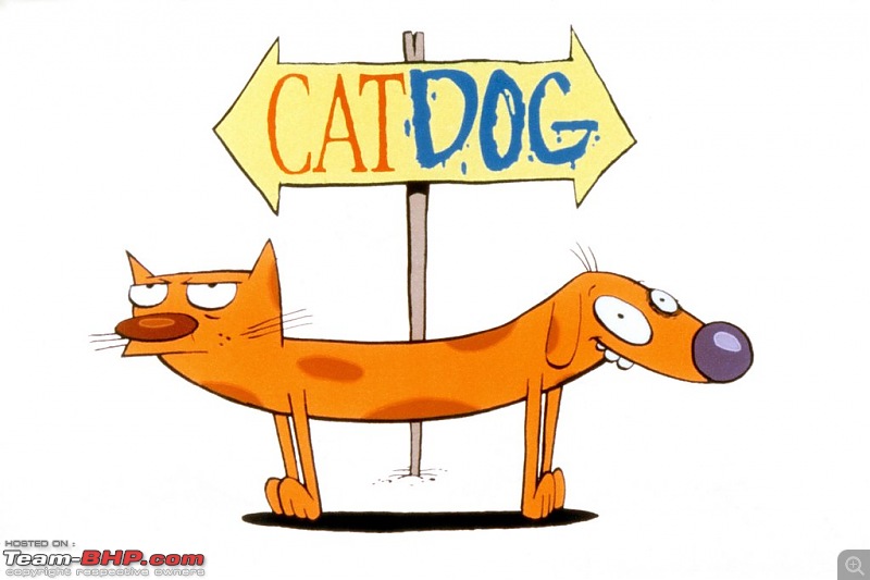 The Animated TV serials / Cartoons thread-catdogfromcatdog.jpg