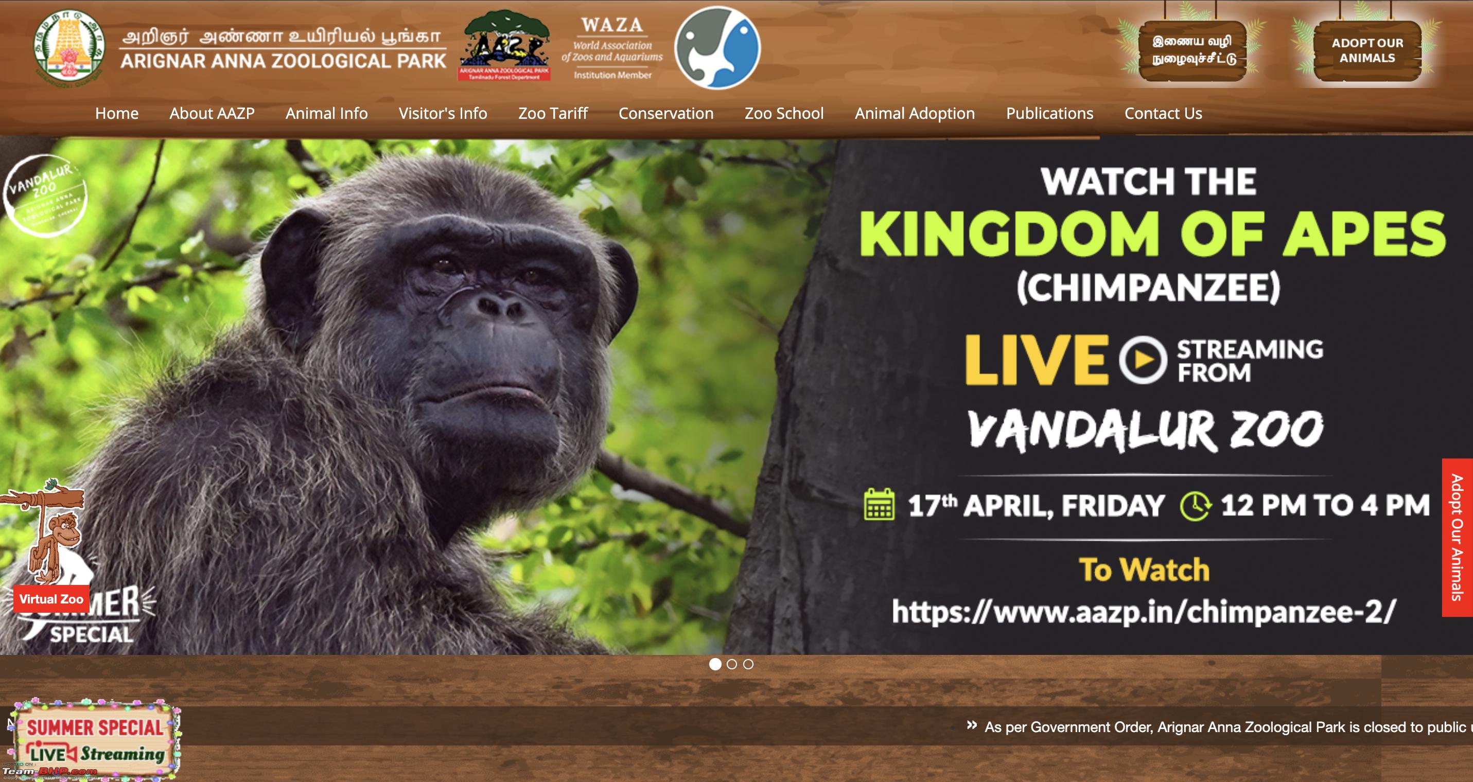 Watch live video feed of Wild Animals in the Vandalur Zoo - Team-BHP