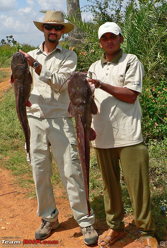 The Team-BHP fishing / anglers thread. Any avid anglers out here?-cats.jpg